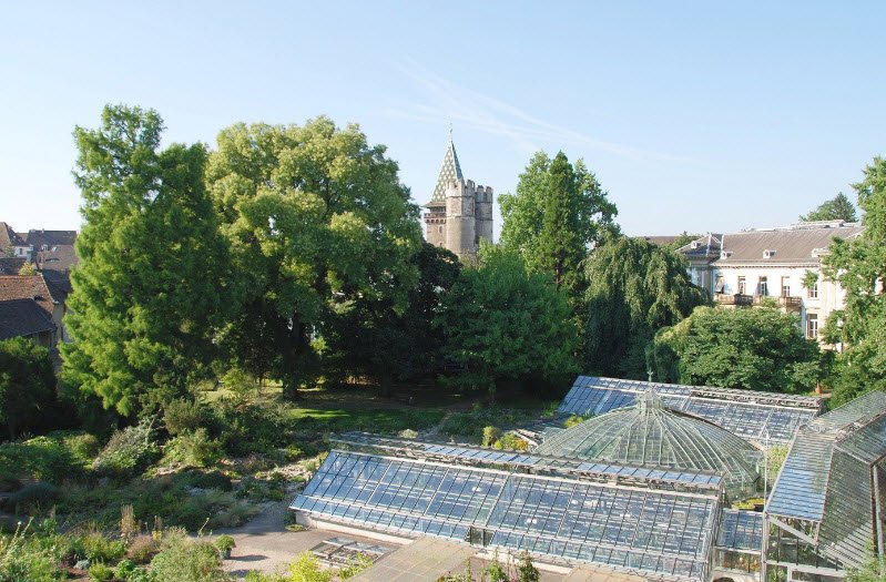 University of Basel Botanical Garden, Switzerland